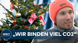 NACHHALTIGE WEIHNACHTEN: Darum sind Tannen oft umweltfreundlicher als Plastiktbume