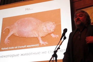 Андрей Гудков “Рак. Старение. Сенесцентные клетки“. Полная версия + ответы на вопросы