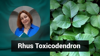 Разбор препарата РУС ТОКСИКОДЕНДРОН Rhus Toxicodendron |  Гомеопатия и Здоровье