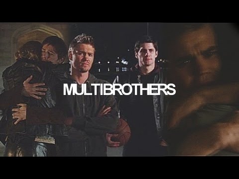 MULTIBROTHERS, shelter.