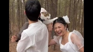 Это мой мужик!  Смешное видео с котами и котятами для хорошего настроения!