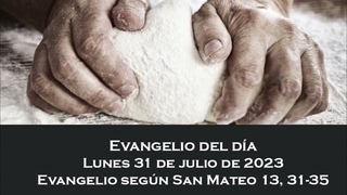 Evangelio del lunes 31 de julio de 2023