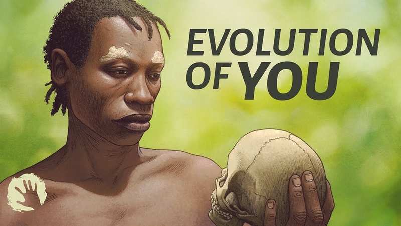 The complex evolution of homo sapiens 1, 000, 000 to 30, 000 years