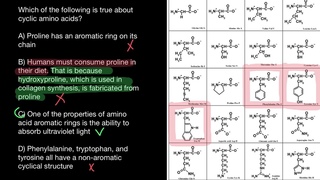 Aromatic Amino Acids (AAA)