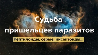 Судьба пришельцев паразитов | Рептилоиды, серые, инсектоиды...