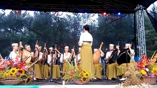 Народний ансамбль бандуристів “Дивоструни“