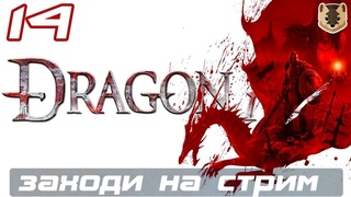 Dragon Age Origins ✪ Прохождение на Кошмаре ✪ Часть 14 [2k 60 fps]
