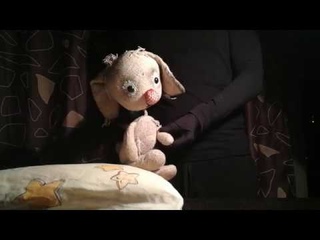 Театр дома. Выпуск 9. Сказка Ласточка и Комар