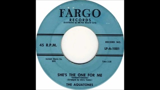 The Aquatones - She's The One For Me