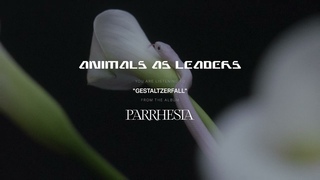 ANIMALS AS LEADERS - Gestaltzerfall
