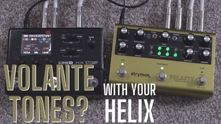 Strymon Volante - Great Tape Delay - Can the Helix get close