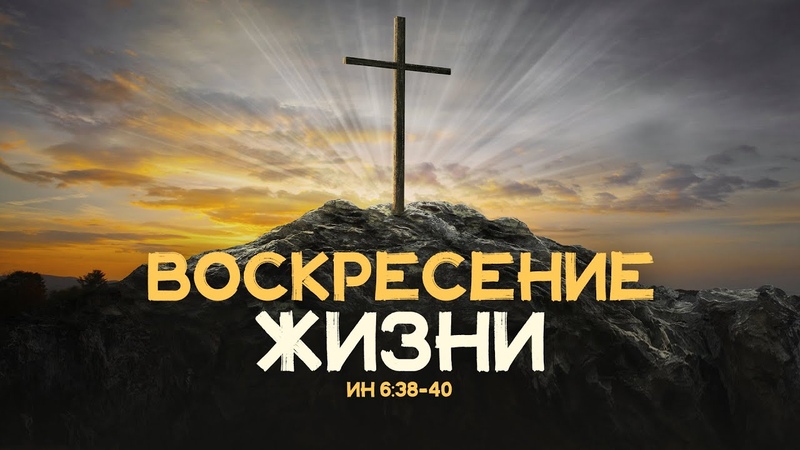 Воскресение жизни (Алексей