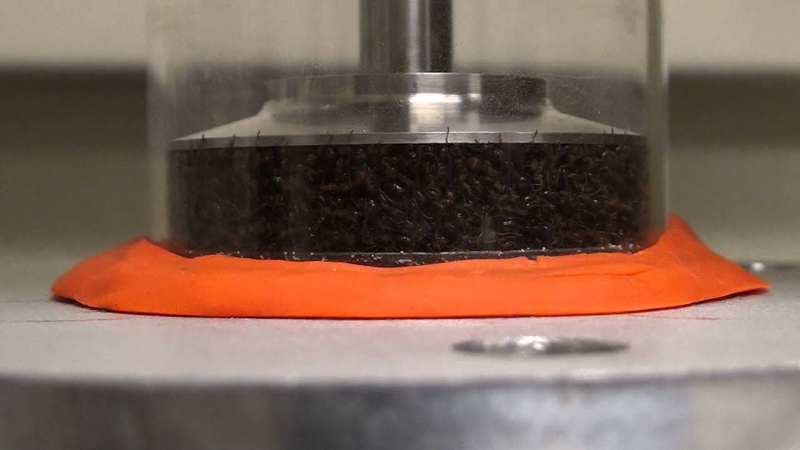 Fire ants with constant applied
