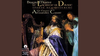 Lagrime di Davide sparse nel miserere, Op. 21: Litanie dei santi