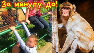 ШОК! Обезьянка ВАСЯ ОТКУСИЛА ДВА ПАЛЬЦА Девочке в Зоопарке!