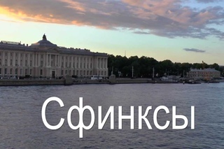 Сфинксы