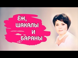 Ёж, шакалы и бараны.