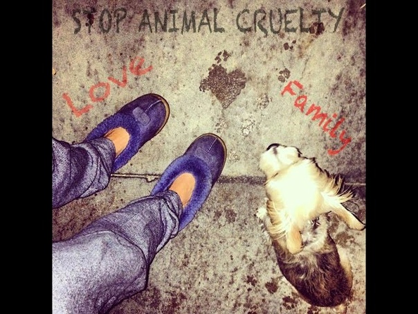 STOPYULIN2015 Dogs are NOT