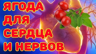 Ягода для сердца и нервов