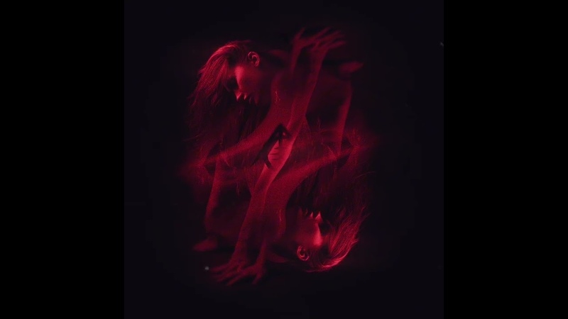 CONTORTIONIST OFFICIAL STREAMING