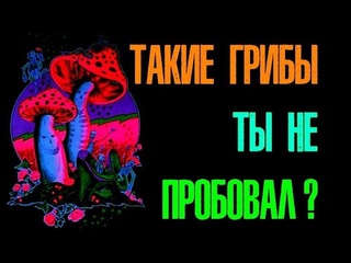 Зарядка для глаз “По грибы“