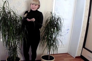 Правильный уход за драценой (маргината)🌿 Советы по выращиванию🌿