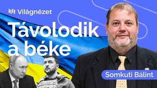 Ukrajna: a kurszki offenzva miatt bukhat el Ukrajna - Somkuti Blint