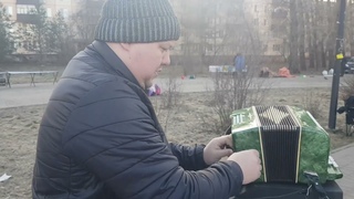 Казань Барахолка Парк Карима Тинчурина Баян Гармошка