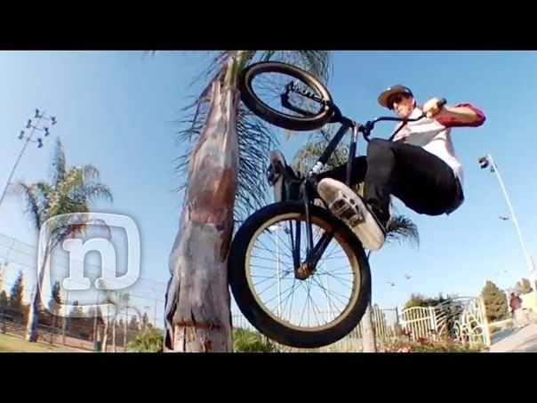 Calling The Shots with Tom Villarreal: Crooked World