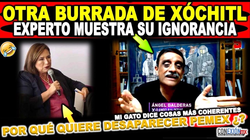 Experto en energías deja en ridículo a Xóchitl quien propone vender Pemex Mi gato es más