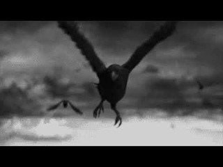 Buchtrailer  -  Raben  -  Manchmal endet es todlich