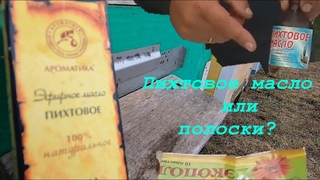 ВЕСЕННЯЯ ОБРАБОТКА ПЧЁЛ ОТ КЛЕЩА И БОЛЕЗНЕЙ/ ПИХТОВОЕ МАСЛО/ ПОЧЕМУ Я НЕ ИСПОЛЬЗУЮ БИПИН ВЕСНОЙ...!