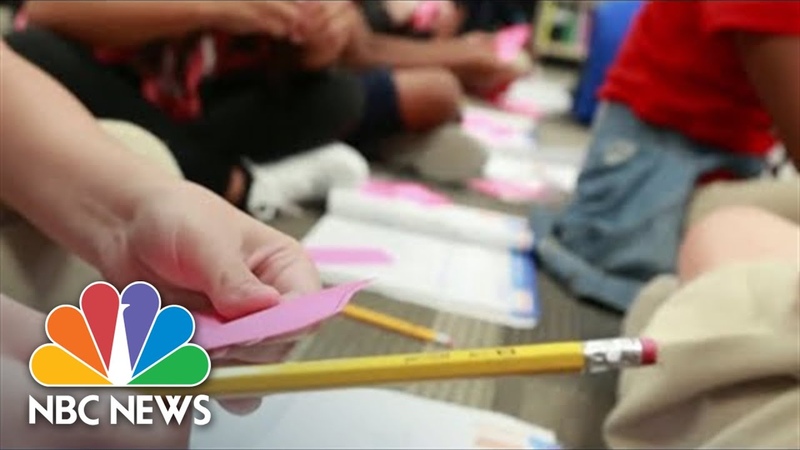 Elementary School Students Test Scores Drop Due To