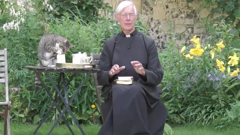 Tiger the cathedral moggy drinks the Dean of Canterburys