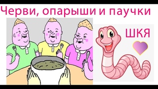 Черви, опарыши и паучки - ШКЯ