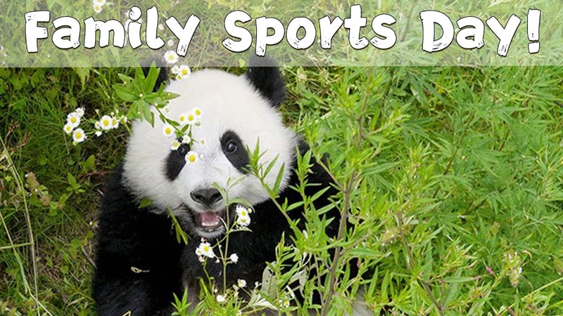 Super Panda Episode 141 Family Sports Day In Spring , i