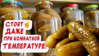 Все в шоке как это ВКУСНО👍Настоящие хрустящие квашеные соленые бочковые огурцы на зиму 👍