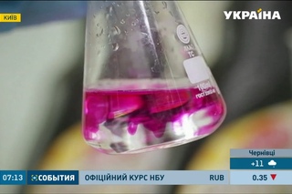 Українці падають із ніг від незвичайних і дивовижних виявів алегрії