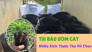 Túi Bầu Ươm Cây PE Nhiều Kích Thước ’Siêu Rẻ 60k/kg’ - Gọi 0375524180 (có dùng Zalo)