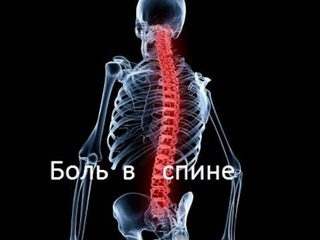 Как  вылечить спину?