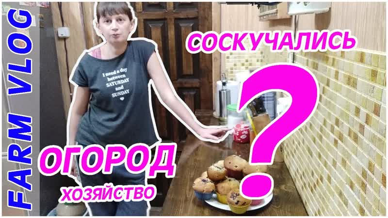 Farm Vlog: Обзор РАССАДЫ, Посев семян, Вкусные маффины, Жизнь в