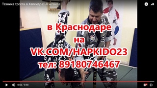 Техника трости в Хапкидо (full version)