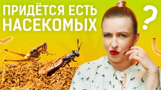БЕЛОК ИЗ МУХ И СВЕРЧКОВ УЖЕ В НАШЕЙ ЕДЕ РАЗБОР ПИЩЕВОГО ТЕХНОЛОГА + ДЕГУСТАЦИЯ ЕДЫ С НАСЕКОМЫМИ