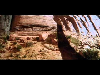 гриф-стервятник.avi