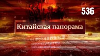 Исторический визит, благополучие для всех, праздник потребления, движение к прогрессу — (536)