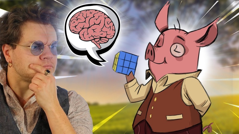 La Surprenante Intelligence Des Cochons (en 5