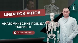 Кинезиомассаж. Часть III. Теория. Анатомические поезда. Циванюк А. В. (Томас Майерс)