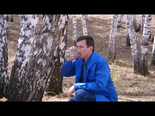 ДВЕ БЕРЁЗКИ .Душевная песня.