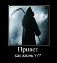 Юли Дудка фотография #8