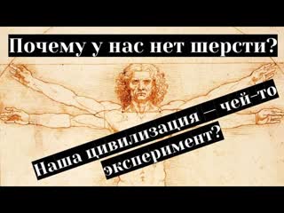 Почему у нас нет шерсти Наша цивилизация  чей то эксперимент